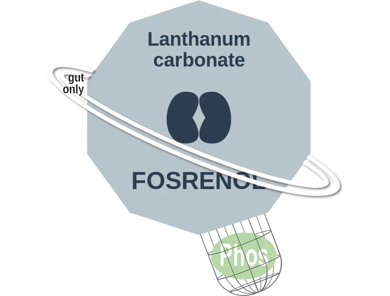 Lanthanum carbonate ballicule: receptor binding, kinetics and half-life diagram