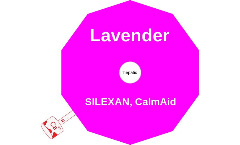 Lavender ballicule: receptor binding, kinetics and half-life diagram