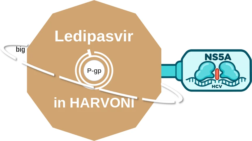 Ledipasvir ballicule: receptor binding, kinetics and half-life diagram