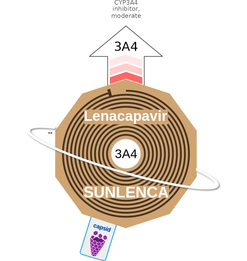 Lenacapavir ballicule: receptor binding, kinetics and half-life diagram