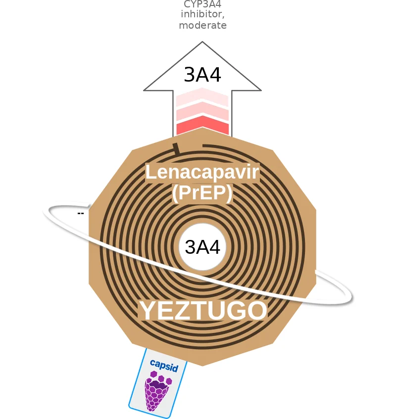 Lenacapavir (PrEP) ballicule: receptor binding, kinetics and half-life diagram