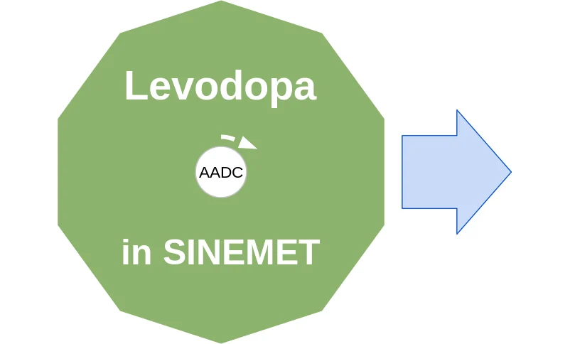 Levodopa ballicule: receptor binding, kinetics and half-life diagram
