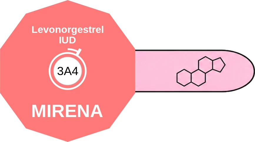 Levonorgestrel IUD ballicule: receptor binding, kinetics and half-life diagram