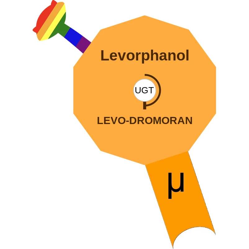 Levorphanol ballicule: receptor binding, kinetics and half-life diagram