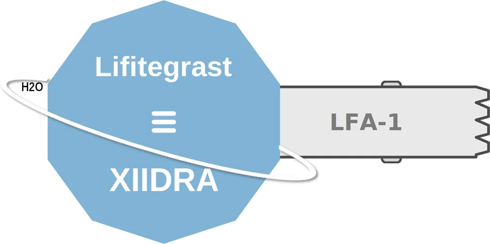 Lifitegrast ballicule: receptor binding, kinetics and half-life diagram