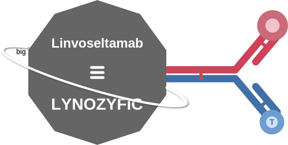Linvoseltamab ballicule: receptor binding, kinetics and half-life diagram