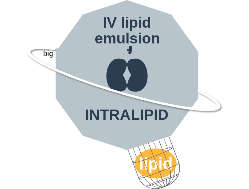 IV lipid emulsion ballicule: receptor binding, kinetics and half-life diagram