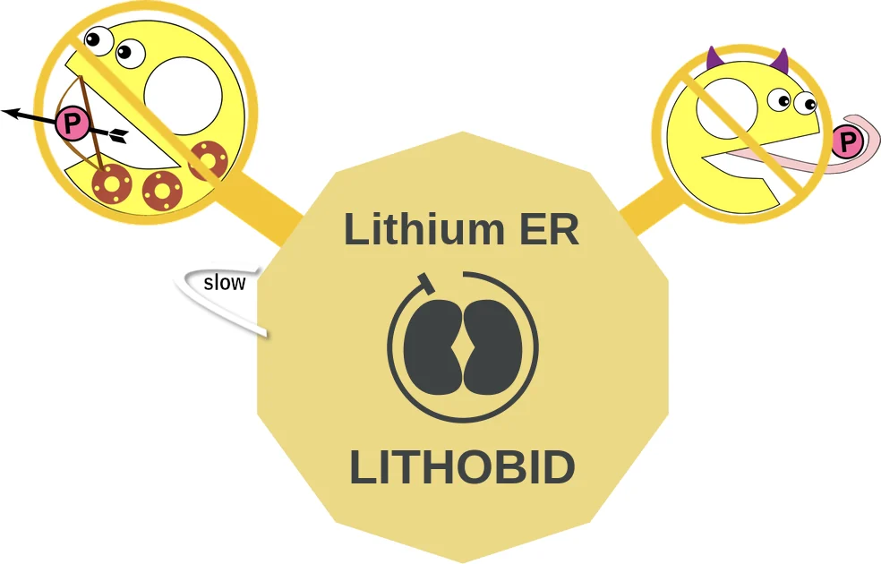 Lithium ER ballicule: receptor binding, kinetics and half-life diagram