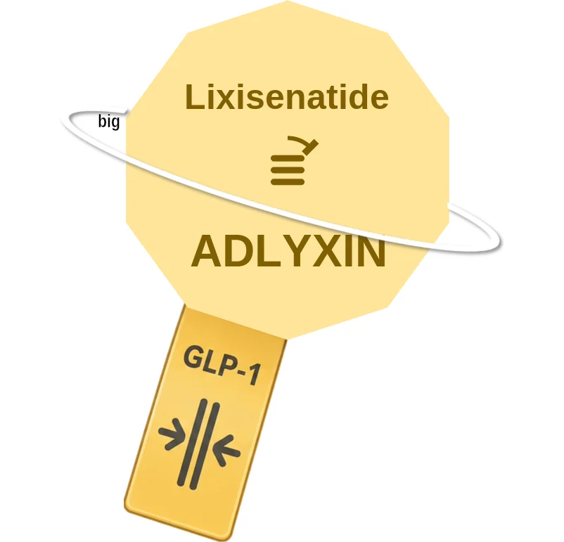 Lixisenatide ballicule: receptor binding, kinetics and half-life diagram