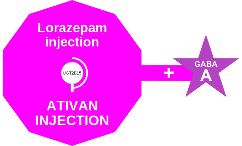 Lorazepam injection ballicule: receptor binding, kinetics and half-life diagram