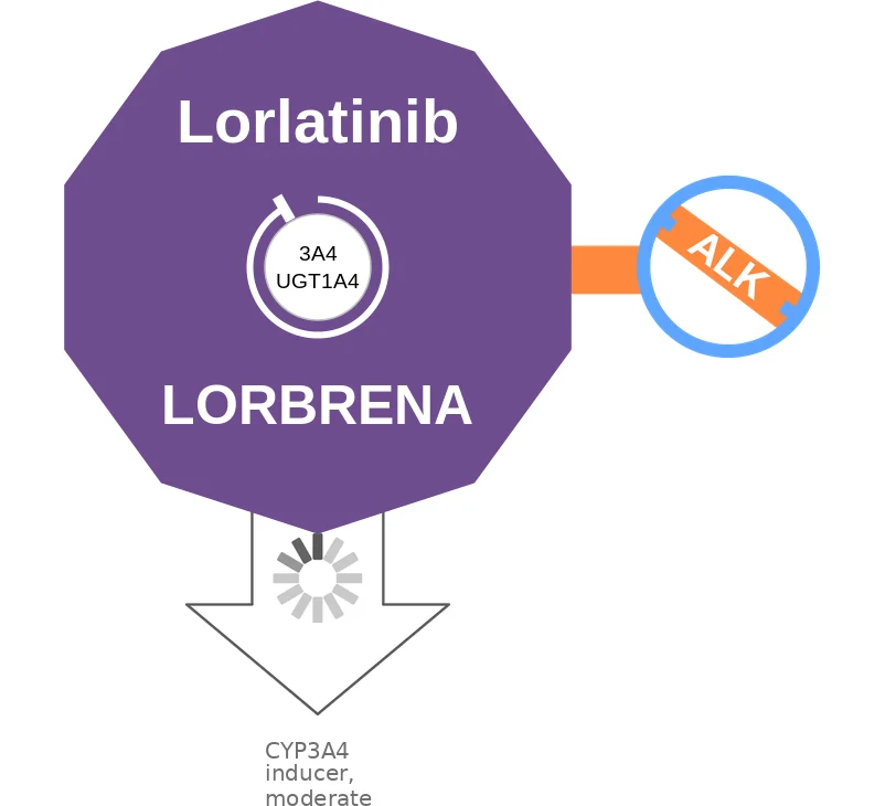 Lorlatinib ballicule: receptor binding, kinetics and half-life diagram