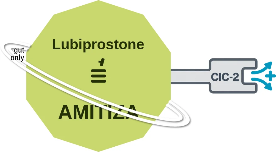 Lubiprostone ballicule: receptor binding, kinetics and half-life diagram