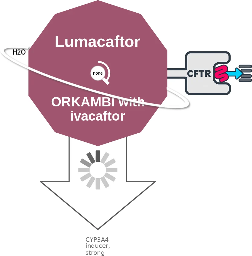 Lumacaftor ballicule: receptor binding, kinetics and half-life diagram