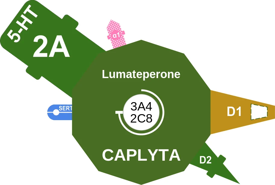 Lumateperone ballicule: receptor binding, kinetics and half-life diagram
