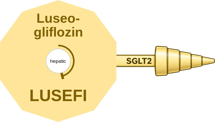 Luseogliflozin ballicule: receptor binding, kinetics and half-life diagram
