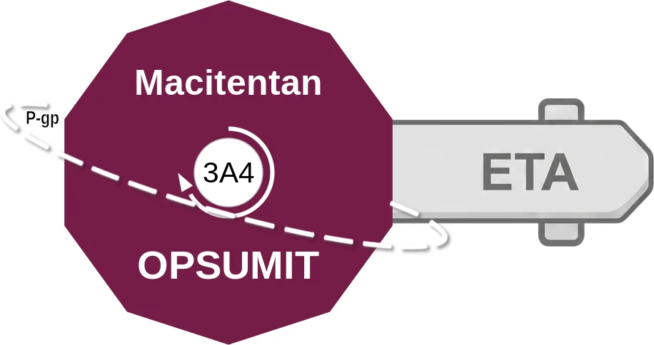 Macitentan ballicule: receptor binding, kinetics and half-life diagram