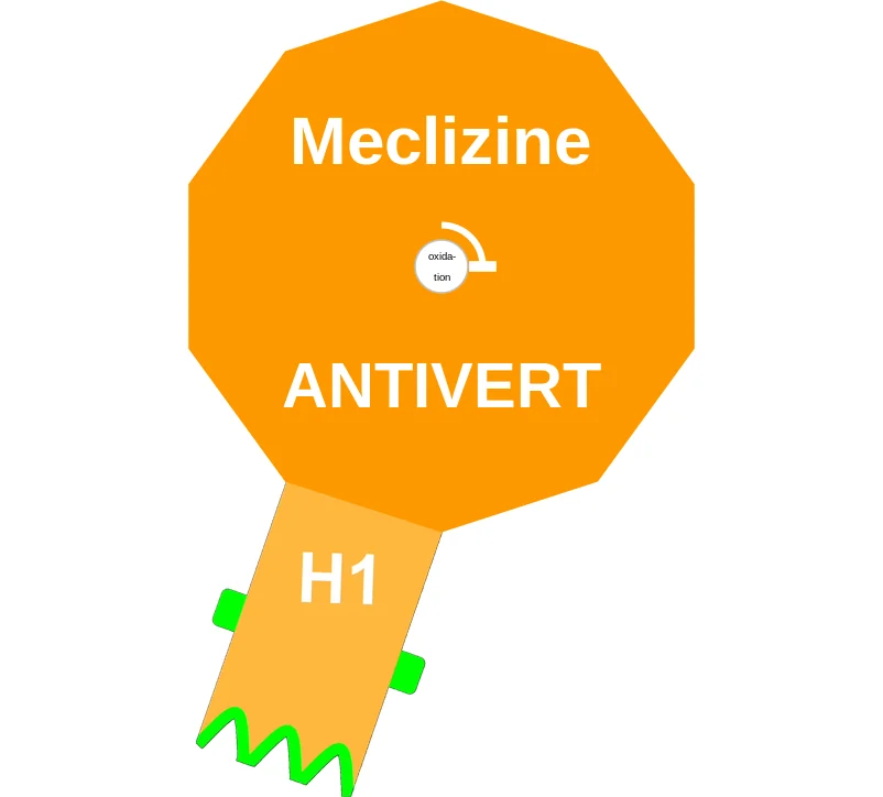 Meclizine ballicule: receptor binding, kinetics and half-life diagram