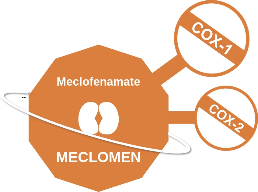 Meclofenamate ballicule: receptor binding, kinetics and half-life diagram