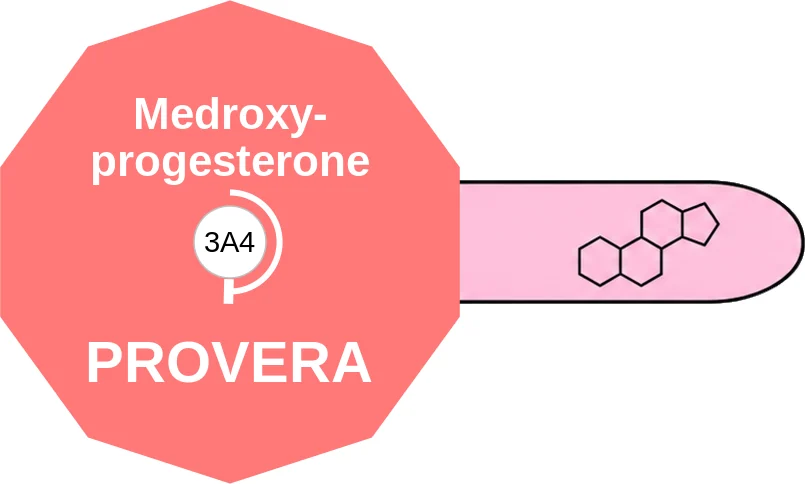 Medroxyprogesterone ballicule: receptor binding, kinetics and half-life diagram