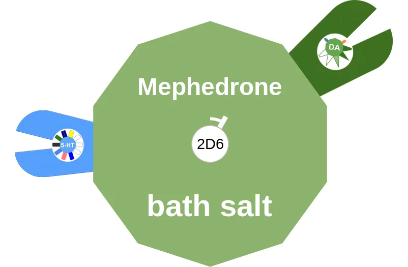 Mephedrone ballicule: receptor binding, kinetics and half-life diagram