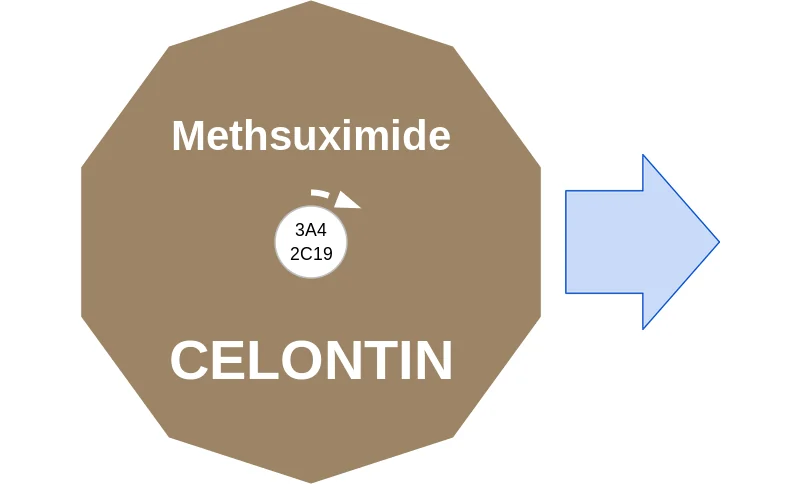 Methsuximide ballicule: receptor binding, kinetics and half-life diagram