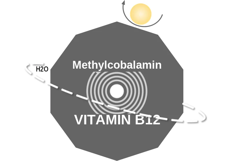 Methylcobalamin ballicule: receptor binding, kinetics and half-life diagram