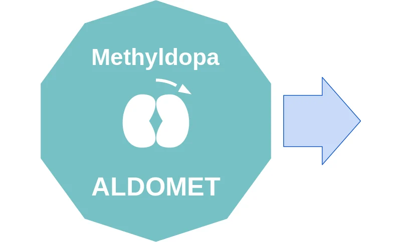 Methyldopa ballicule: receptor binding, kinetics and half-life diagram