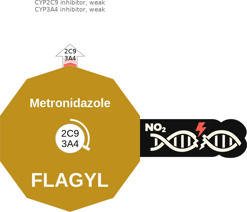Metronidazole ballicule: receptor binding, kinetics and half-life diagram