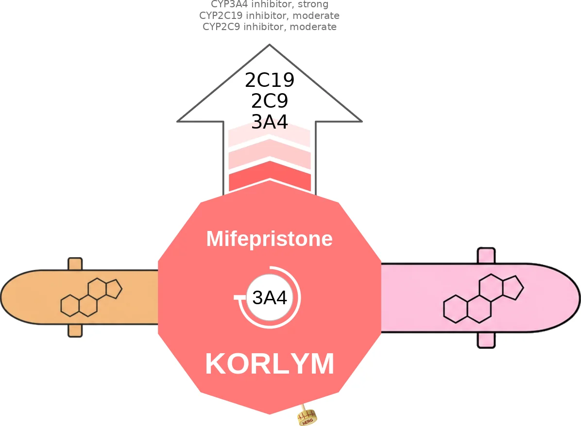 Mifepristone ballicule: receptor binding, kinetics and half-life diagram
