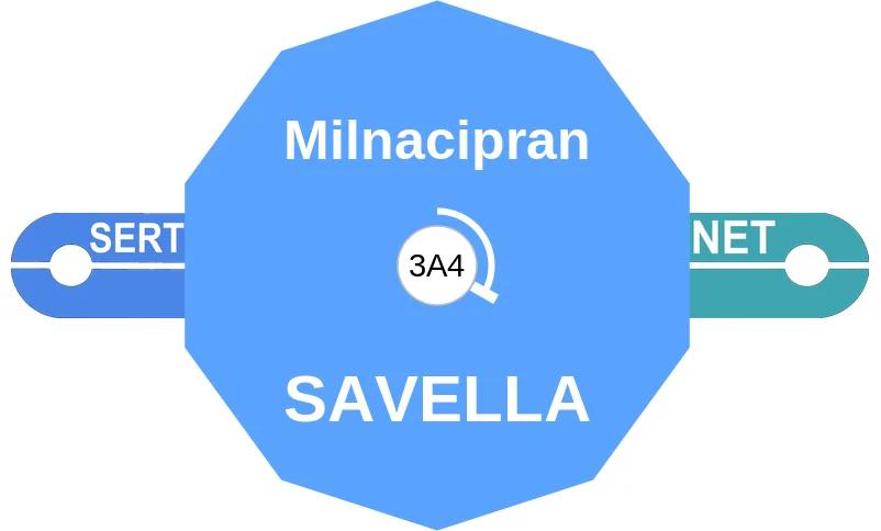 Milnacipran ballicule: receptor binding, kinetics and half-life diagram