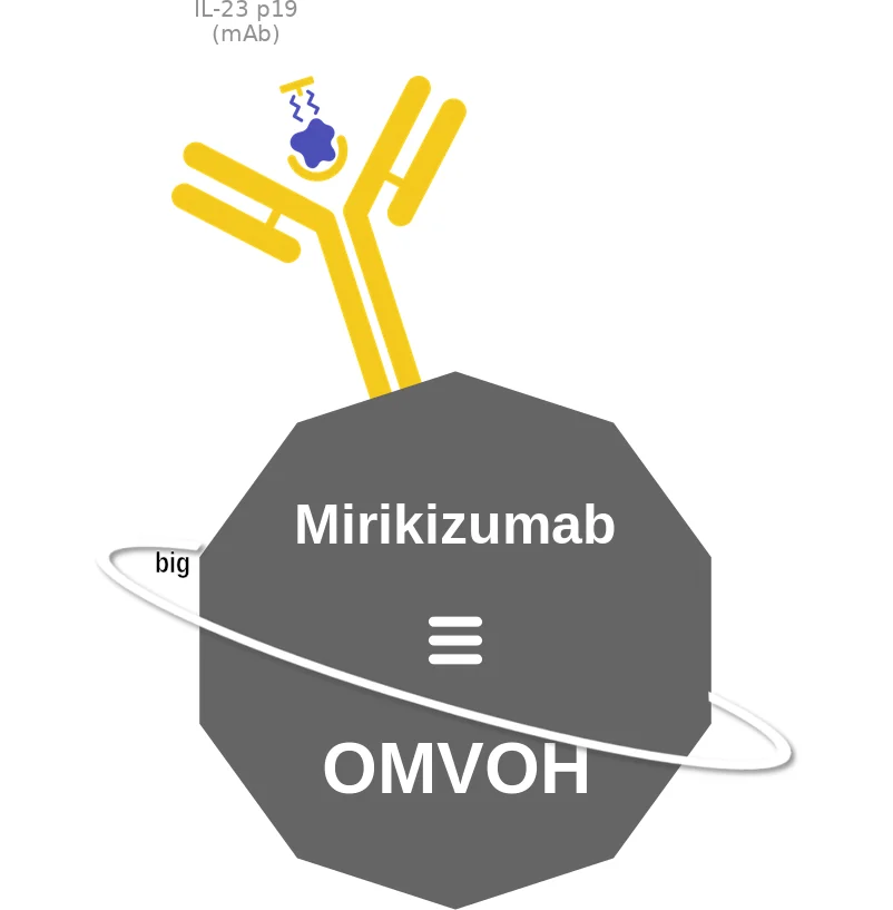 Mirikizumab ballicule: receptor binding, kinetics and half-life diagram