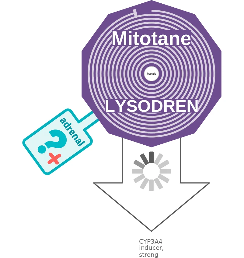 Mitotane ballicule: receptor binding, kinetics and half-life diagram