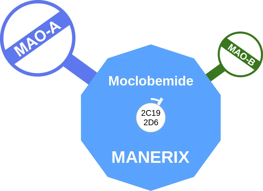 Moclobemide ballicule: receptor binding, kinetics and half-life diagram