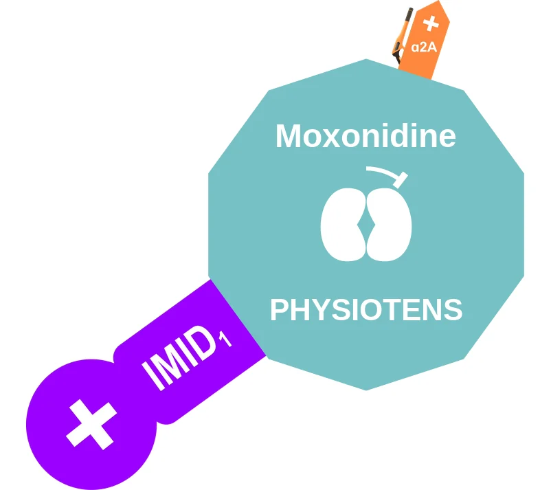 Moxonidine ballicule: receptor binding, kinetics and half-life diagram