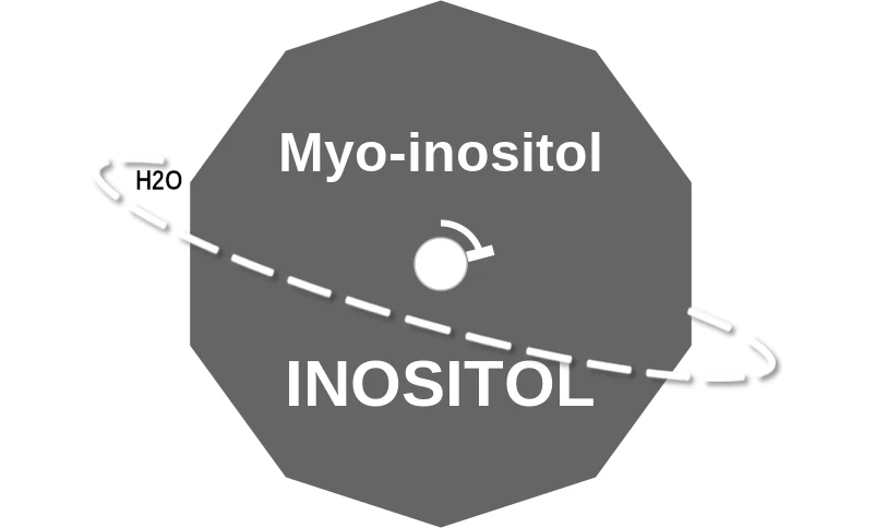 Myo-inositol ballicule: receptor binding, kinetics and half-life diagram