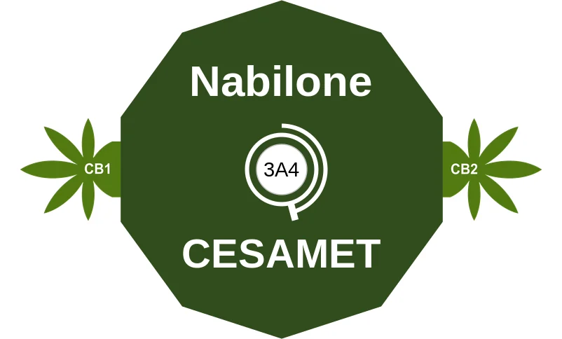 Nabilone ballicule: receptor binding, kinetics and half-life diagram