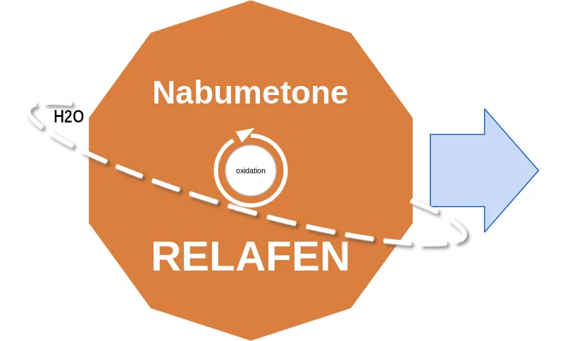 Nabumetone ballicule: receptor binding, kinetics and half-life diagram