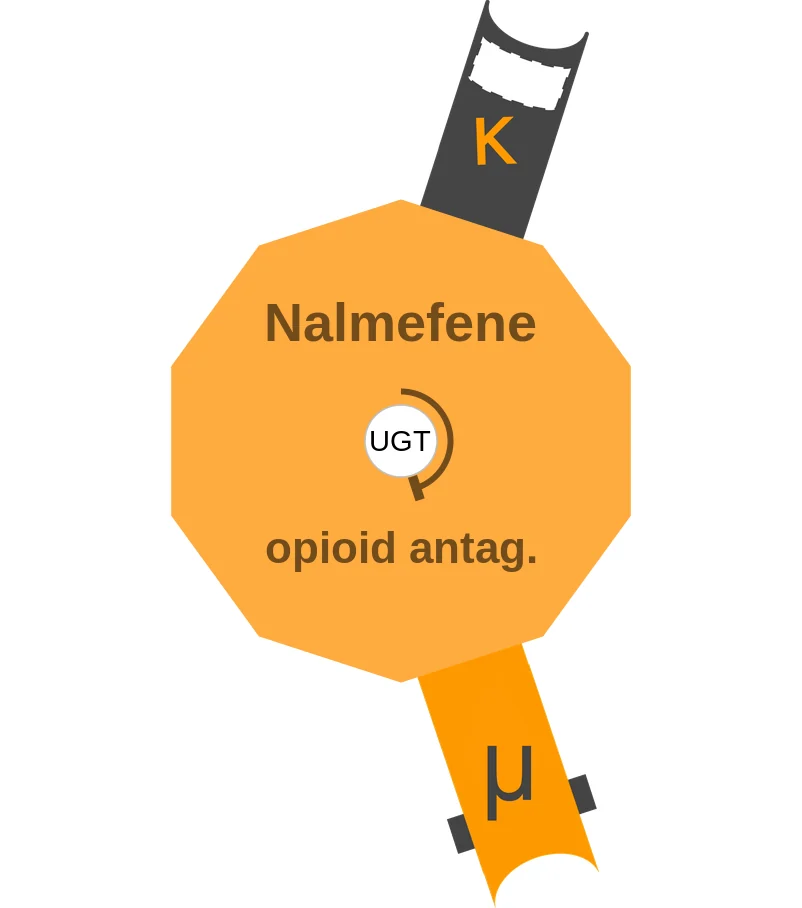 Nalmefene ballicule: receptor binding, kinetics and half-life diagram
