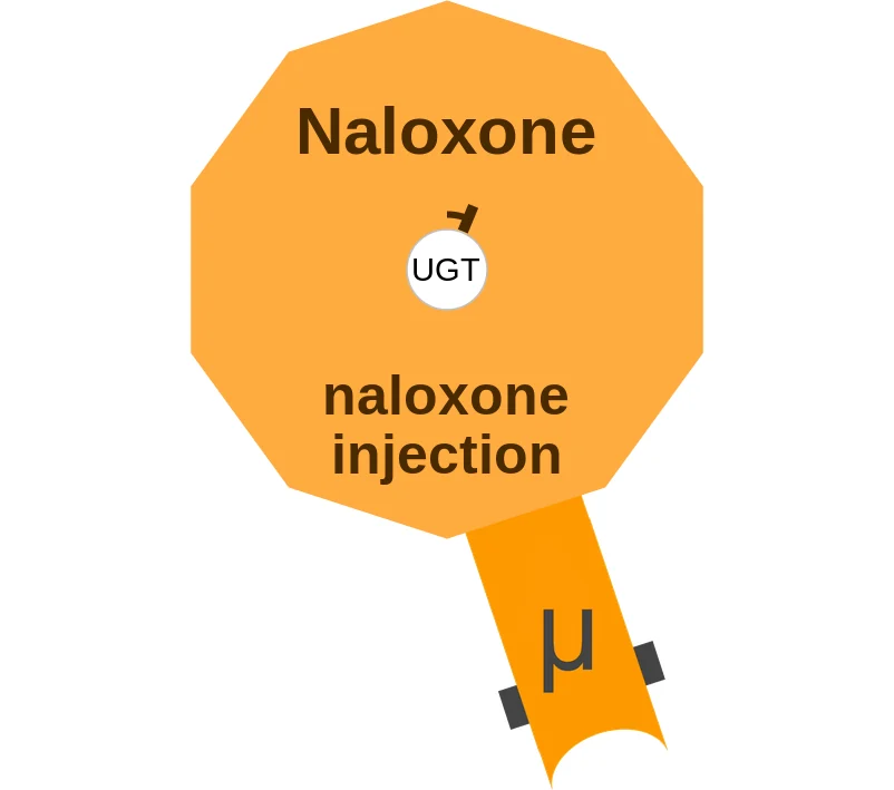 Naloxone ballicule: receptor binding, kinetics and half-life diagram