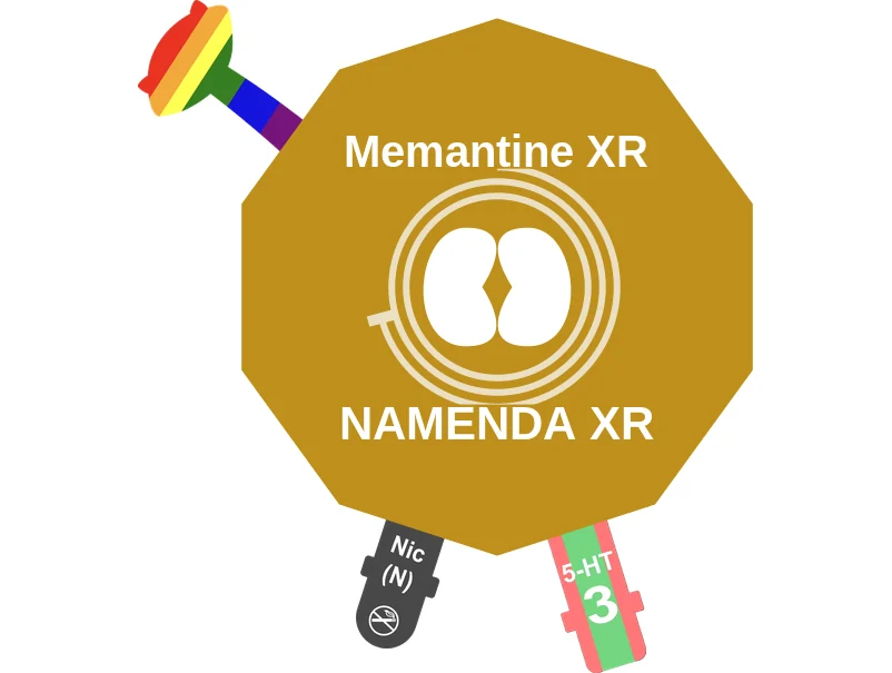 Memantine XR ballicule: receptor binding, kinetics and half-life diagram