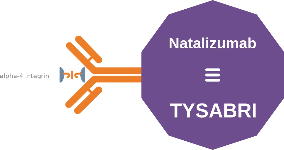 Natalizumab ballicule: receptor binding, kinetics and half-life diagram
