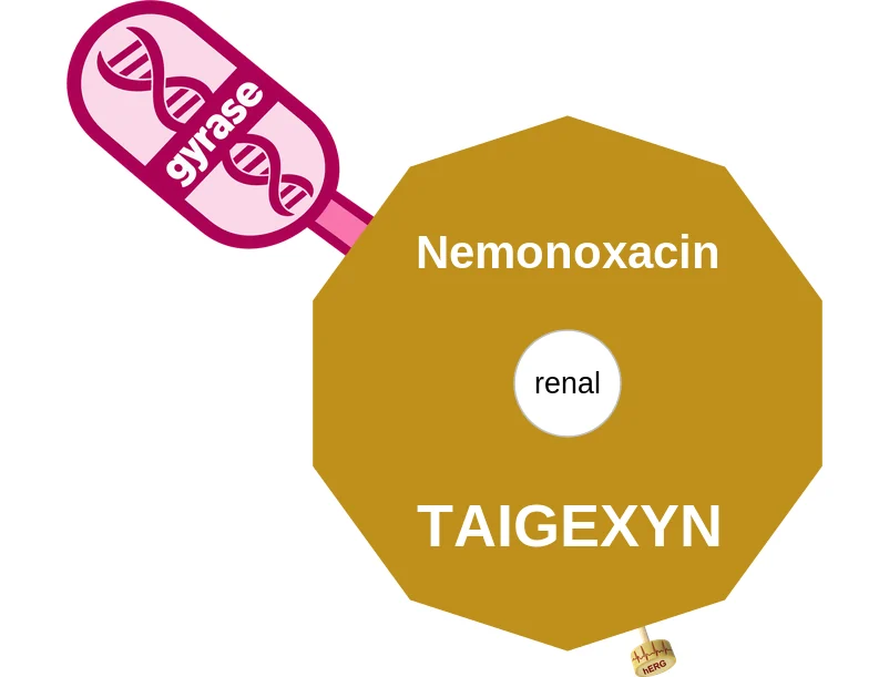 Nemonoxacin ballicule: receptor binding, kinetics and half-life diagram