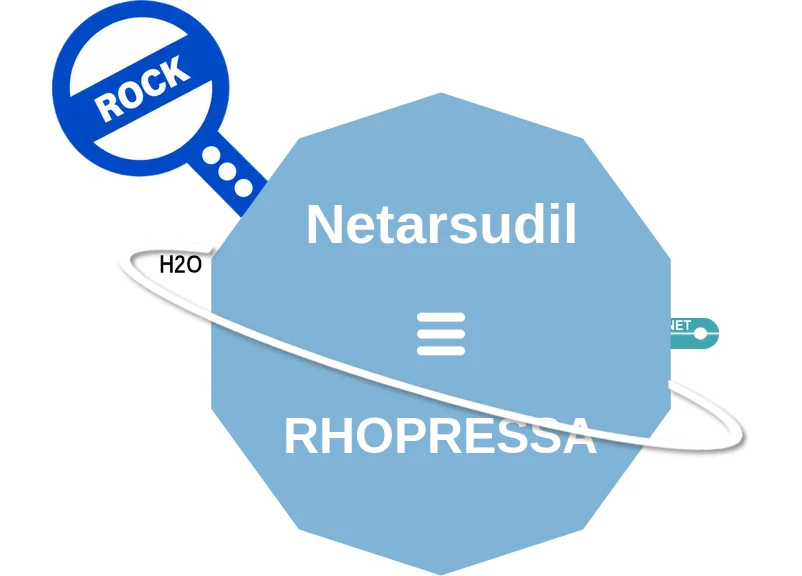 Netarsudil ballicule: receptor binding, kinetics and half-life diagram