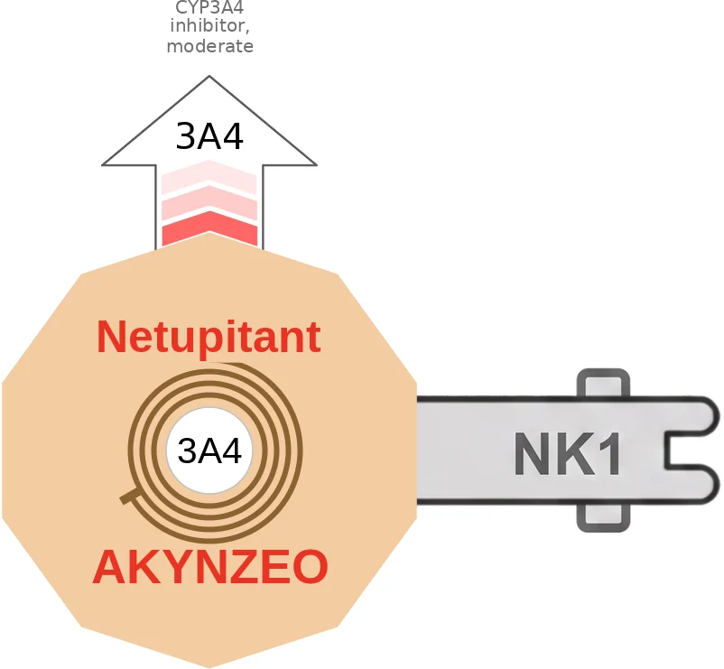 Netupitant ballicule: receptor binding, kinetics and half-life diagram