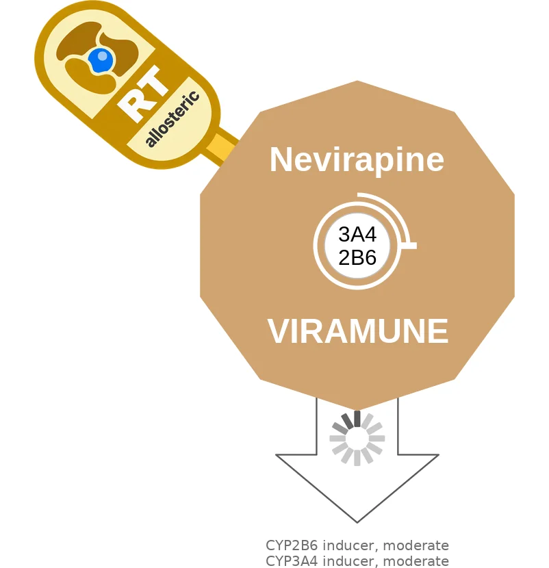 Nevirapine ballicule: receptor binding, kinetics and half-life diagram