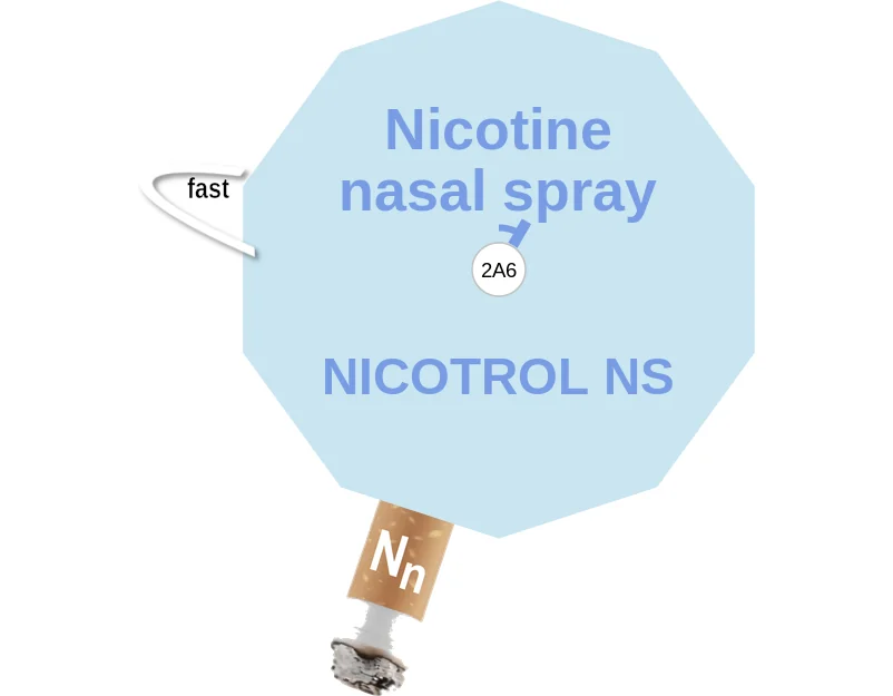 Nicotine nasal spray ballicule: receptor binding, kinetics and half-life diagram