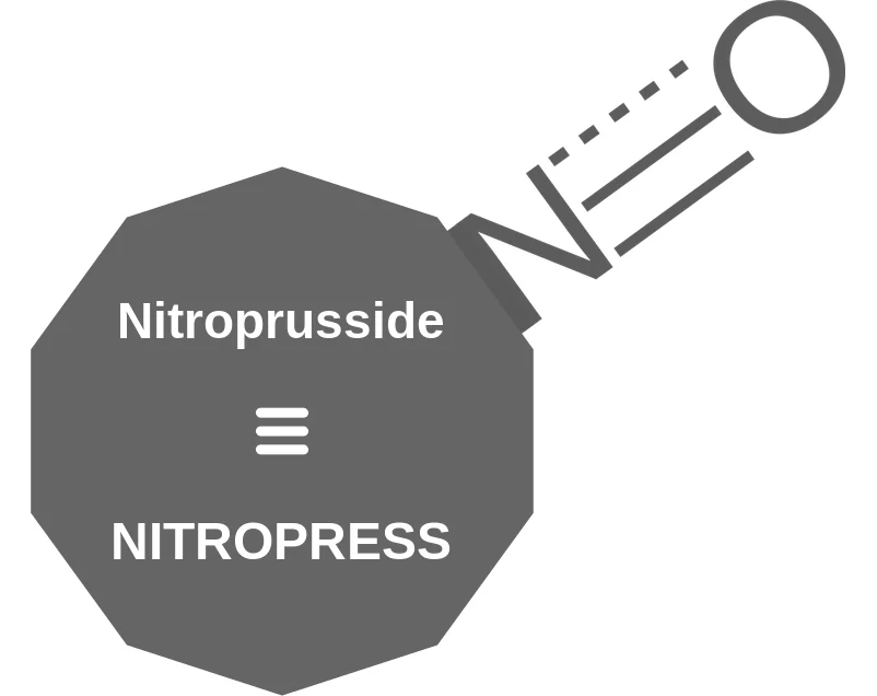 Nitroprusside ballicule: receptor binding, kinetics and half-life diagram