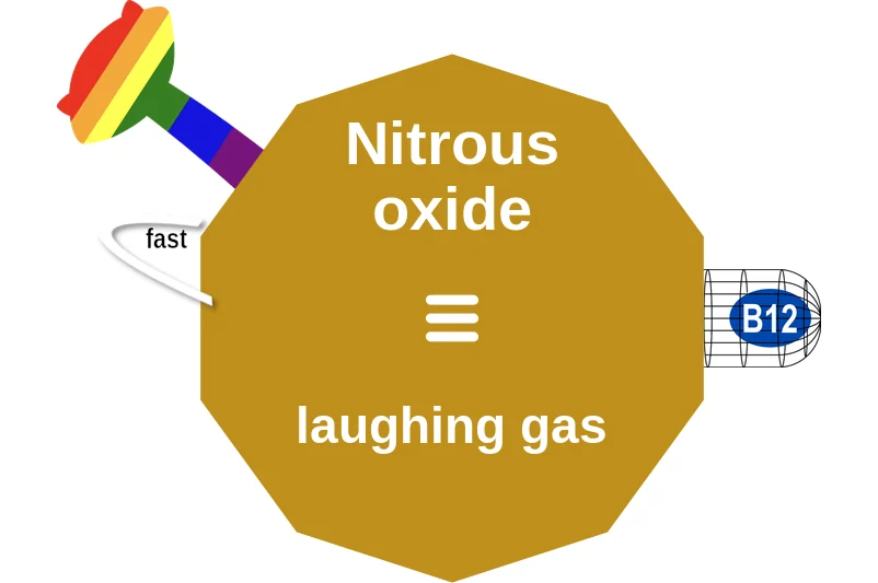 Nitrous oxide ballicule: receptor binding, kinetics and half-life diagram