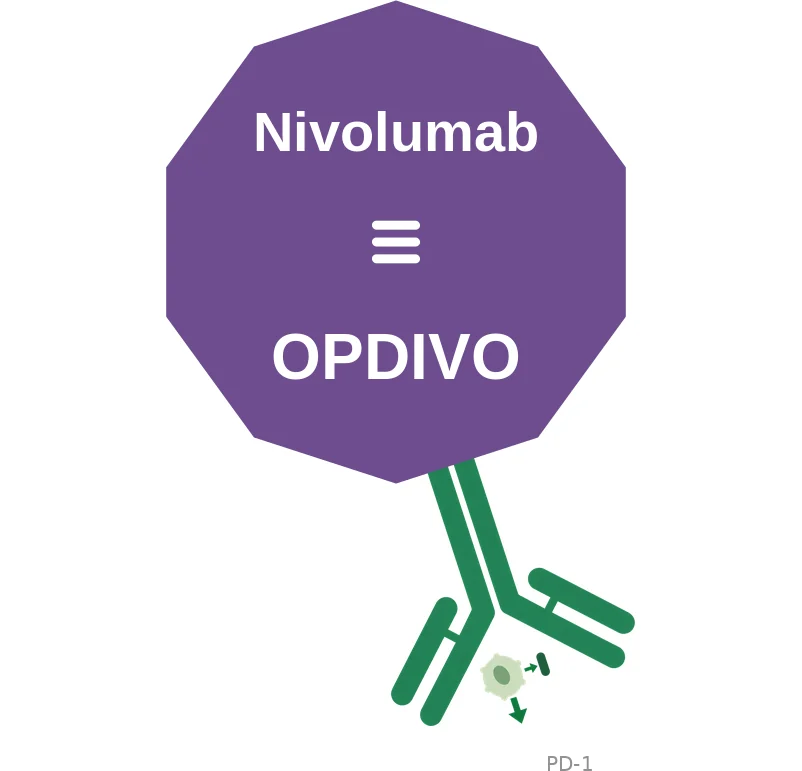 Nivolumab ballicule: receptor binding, kinetics and half-life diagram