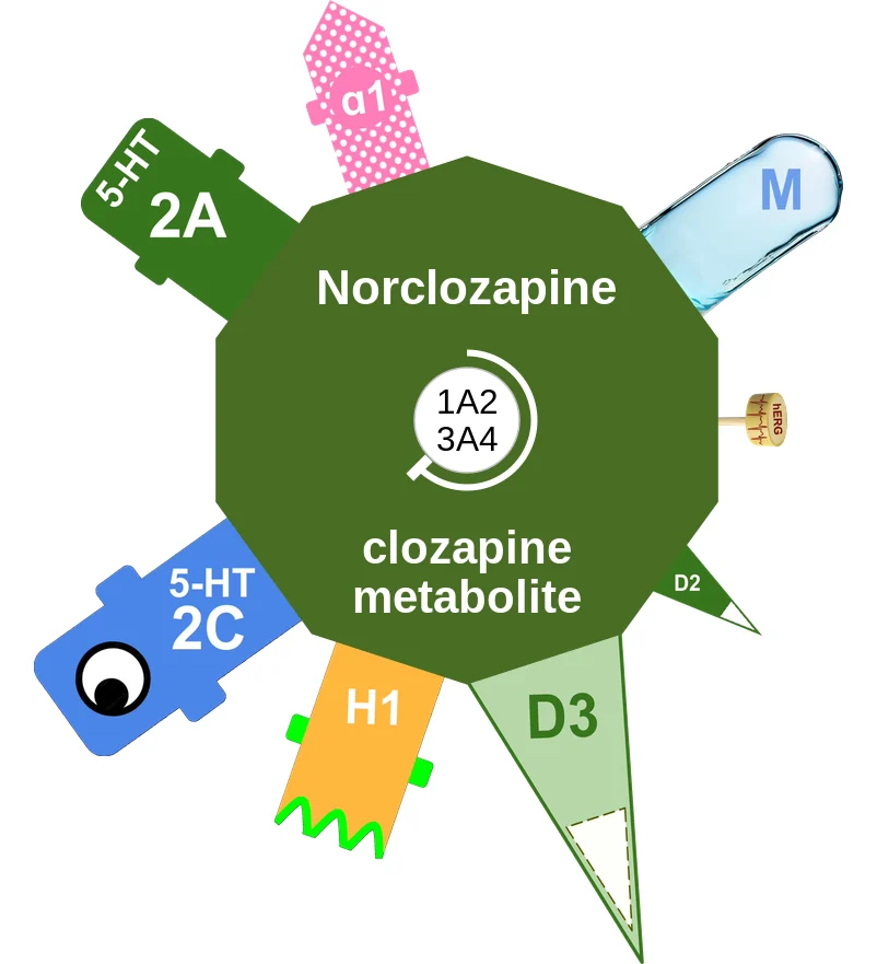 Norclozapine ballicule: receptor binding, kinetics and half-life diagram